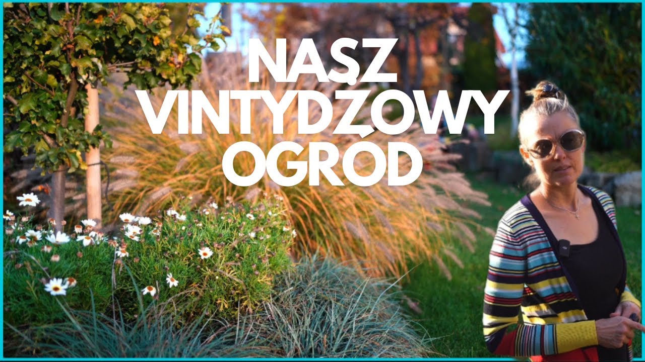 Spacer po naszym vintydżowym ogrodzie.#ogród #garden #starocie #vintage