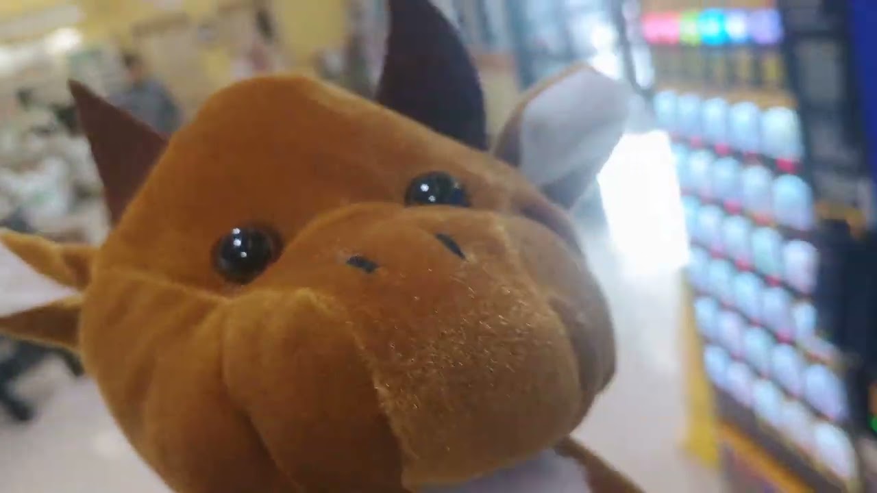 Claw Machine County Market I win prize @CaptianNamco 