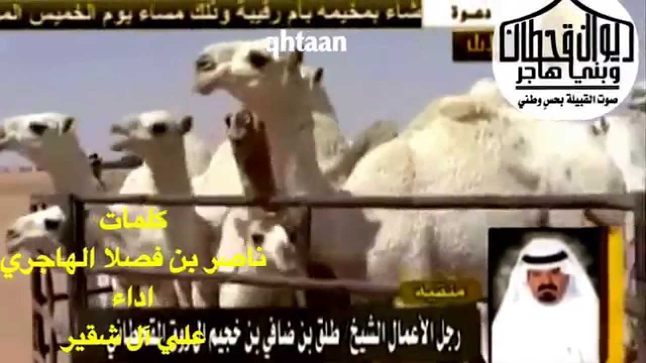 منقية طلق ضافي ال روق القحطاني
