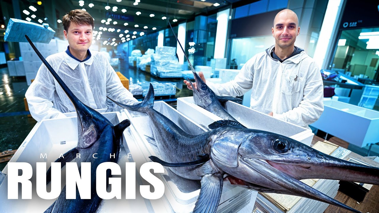 On visite le plus grand marché de poisson de France