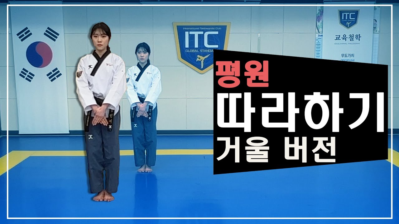 평원 거울버전 & 후면버전 동시 제공