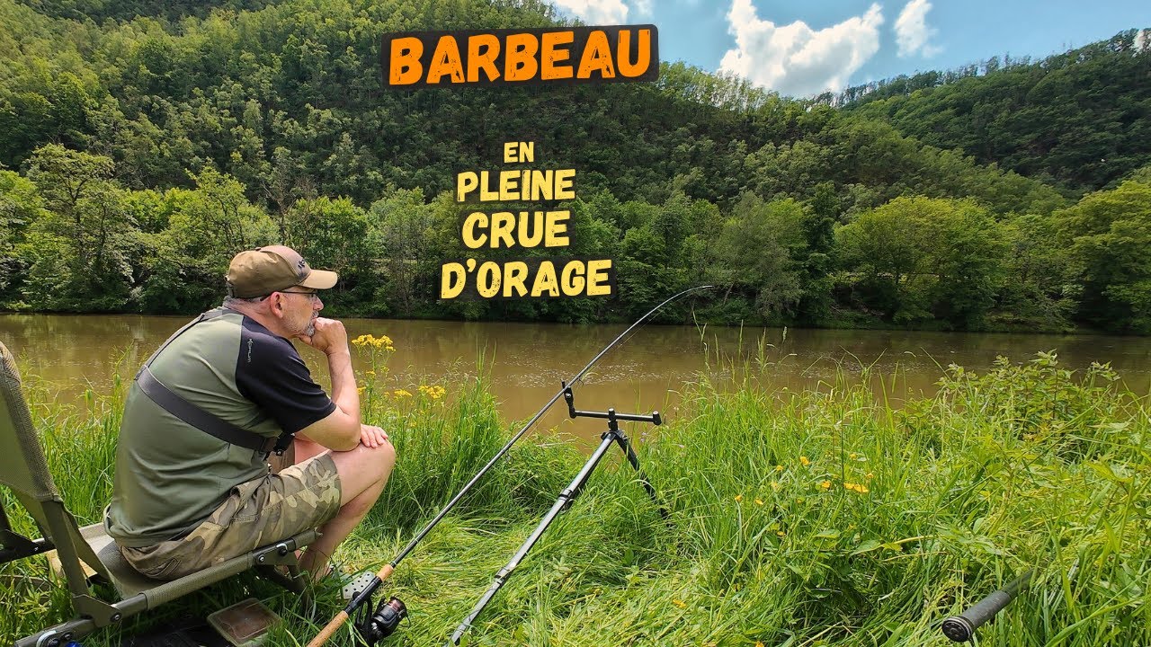 Meuse boueuse + fraie, de quelle humeur est le barbeau ?
