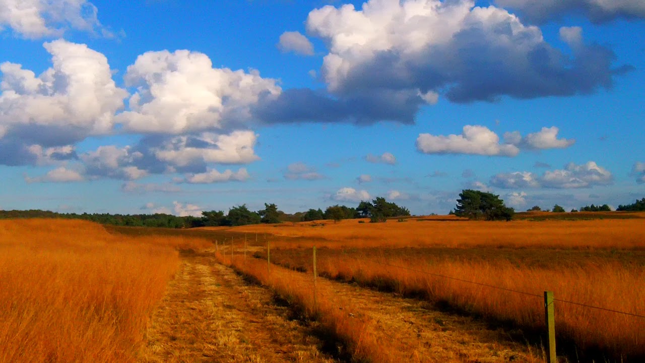 Hoog Buurlose Heide