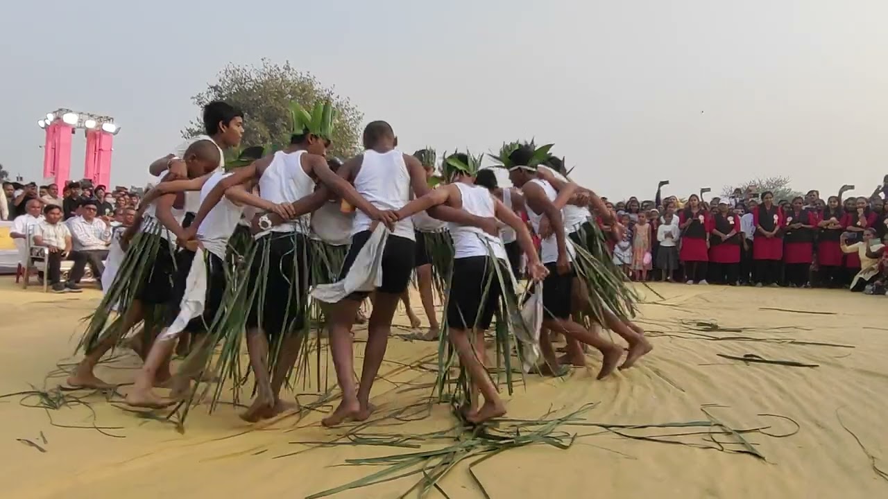 adivasi dangi nrutya