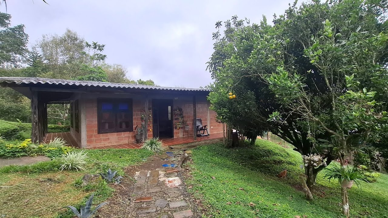 Finca productiva con proyecto avícola en producción 🐔💰 a 35 min de La Cumbre | $780M #Inversion 