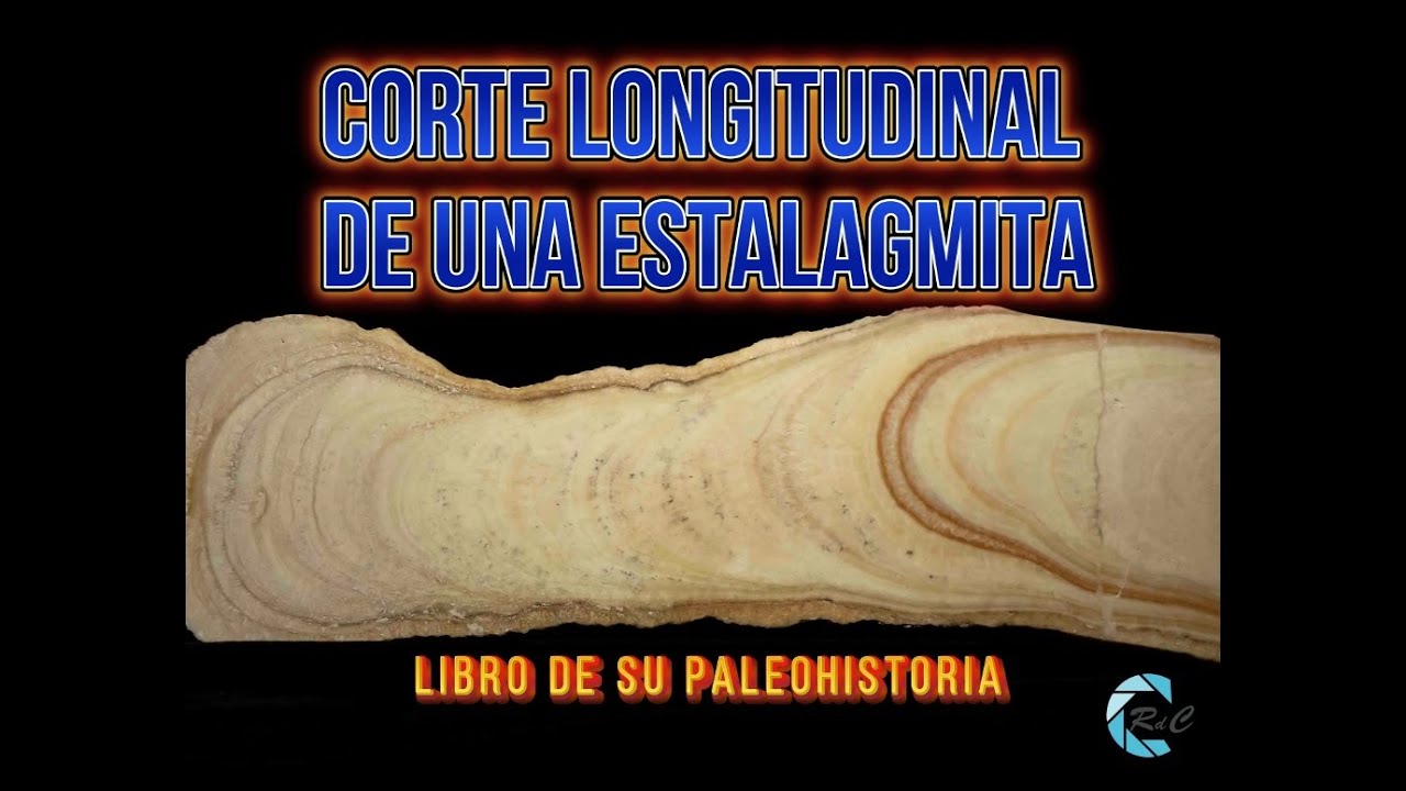 Corte longitudinal de una estalagmita. Libro de su paleohistoria