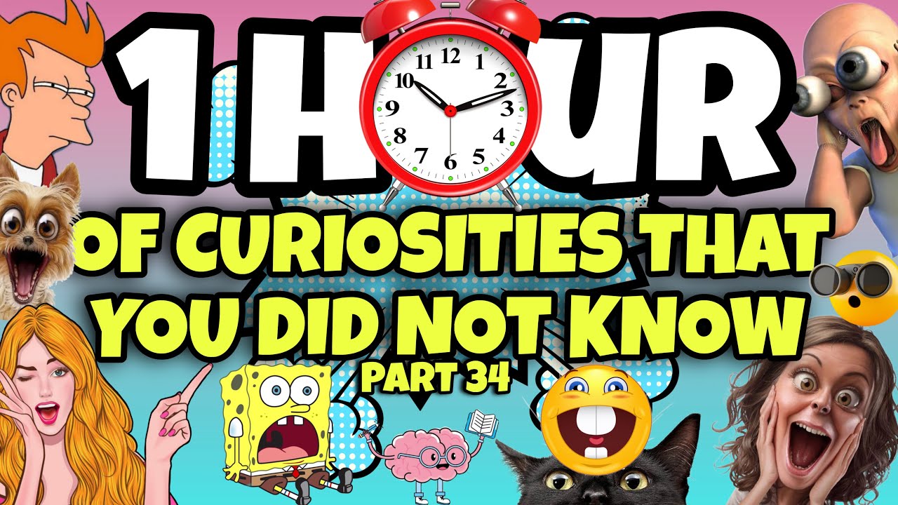 1 HOUR OF CURIOSITIES AND THINGS YOU DIDN'T KNOW 🧠⏰ #34