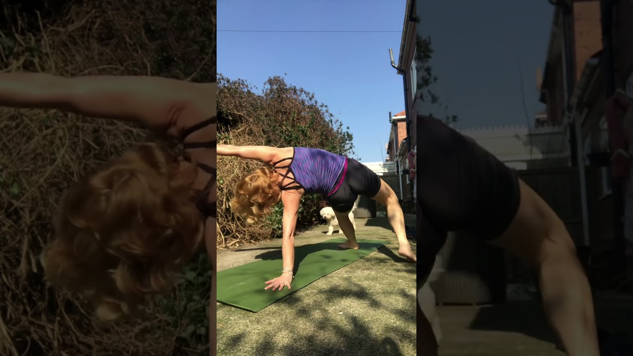 A rare sunny garden sequence from 2023. I love it when there’s a pooch that likes to join in- Ruby 