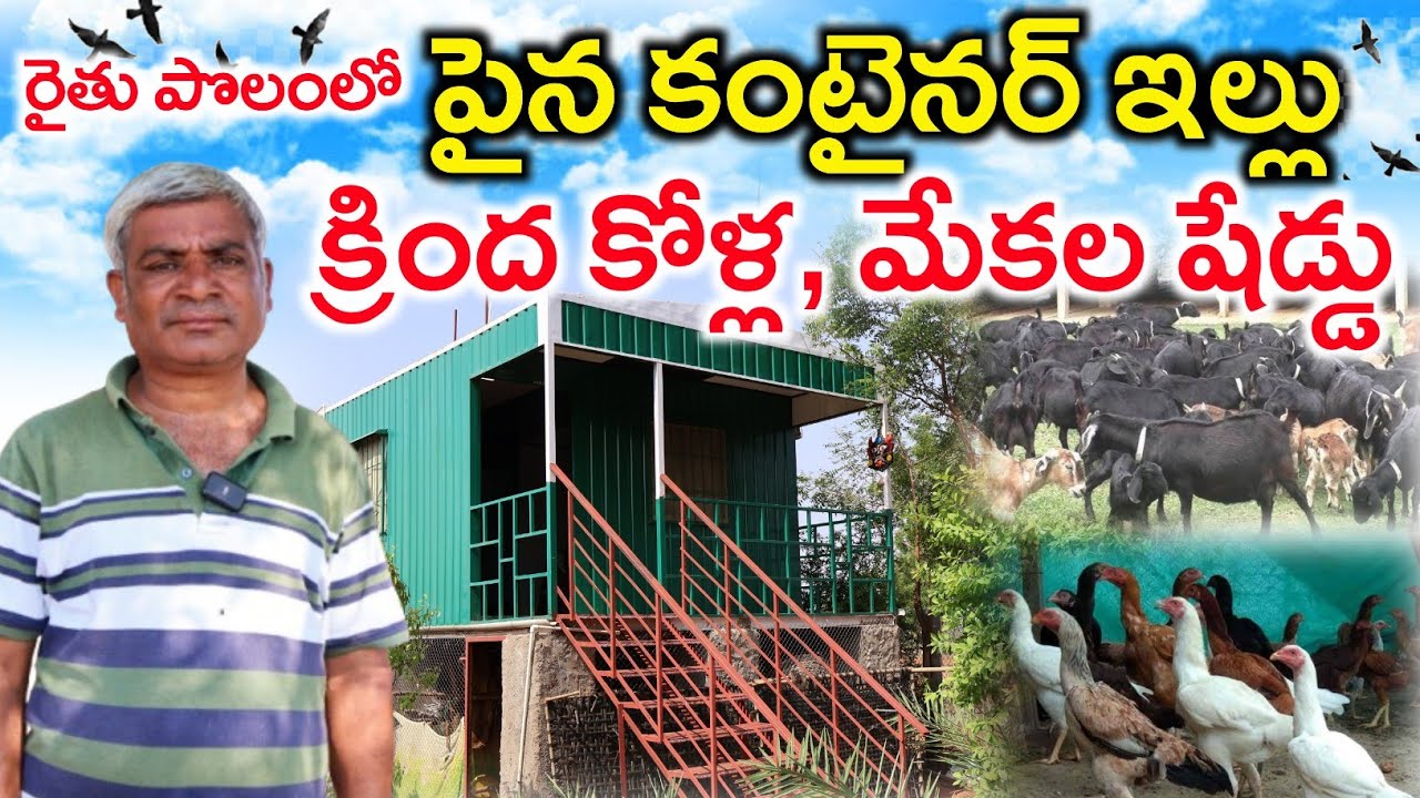 పొలంలో కంటైనర్ ఇల్లు, కోళ్ల-మేకల షెడ్డు | Low Cost Farm Shed For Farmer | Shiva Agri Clinic