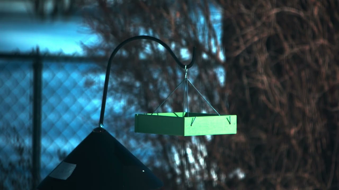 Empty Bird Feeder in HDR Rev 6