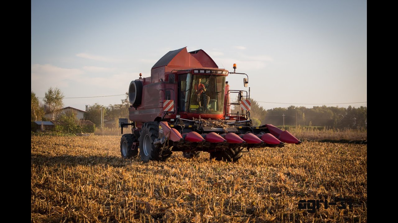 moisson de maïs 2014 avec une Case IH 2388