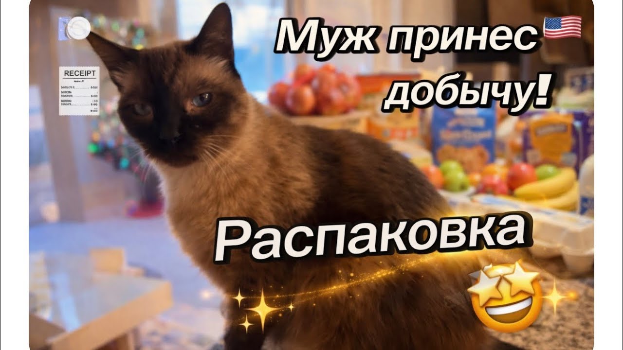 Муж купил - кот проверил! Наша семейная распаковка в США