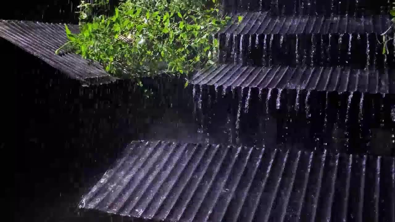 Pure Rain ASMR ⚡ Heavy Rain & Thunder at Night (No Talking)