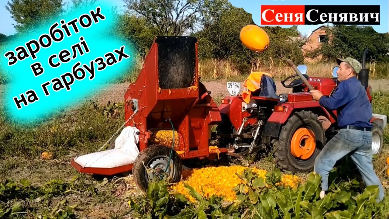 Молотим гарбуз - УКРАЇНСЬКИМ міні ГАРБУЗОВИМ КОМБАЙНОМ МОРОЗА, гарбуз, як варіант заробітку в селі!