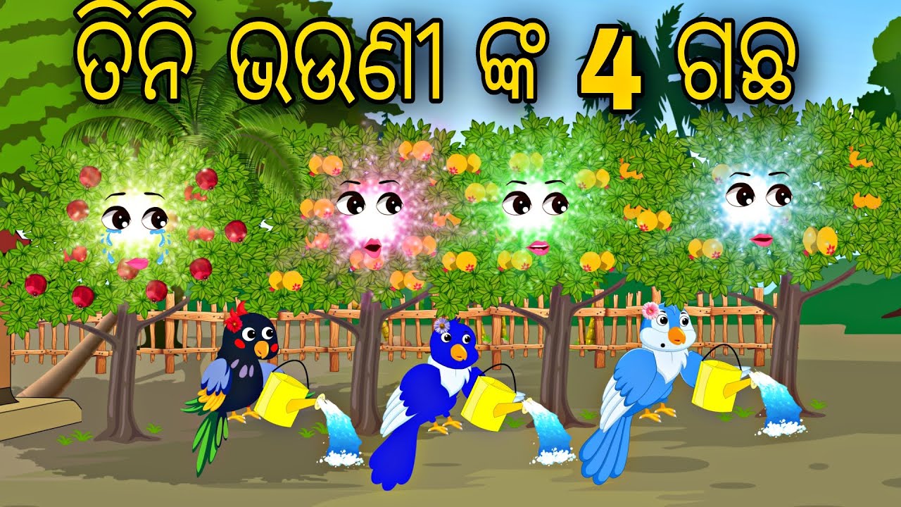 Tini bhauni nka 4 gacha || odia stories || odia gapa || odia bird Story || Moral Story || Kahani