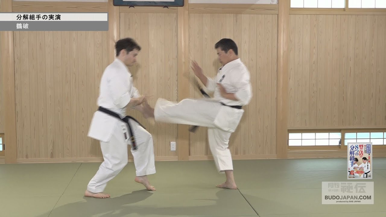 剛柔流・佐藤哲治先生【鶴破の分解組手】型の攻防を相対で学ぶ  GOJYU RYU 