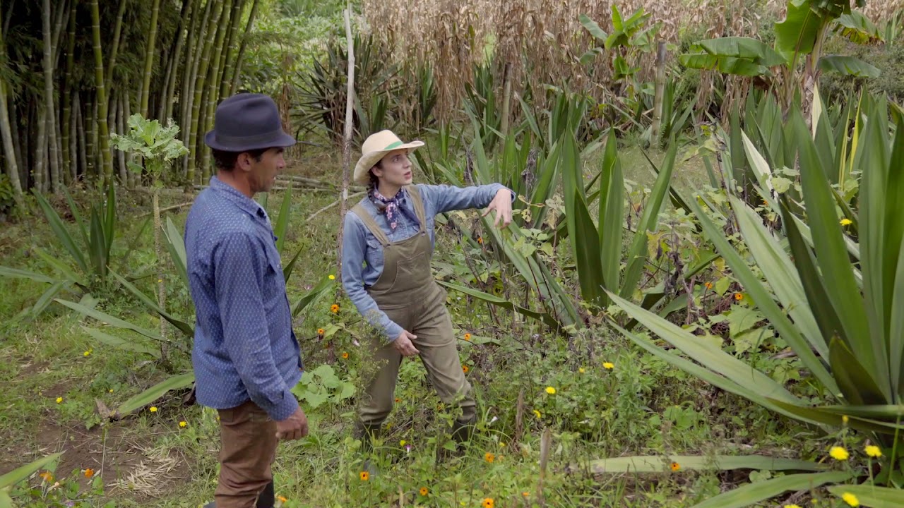 CAP&Iacute;TULO X: FIQUE &middot; CABUYA - EL SABER DEL CAMPO