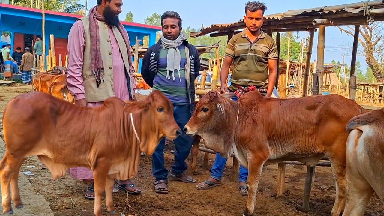 @আজ ১৩ ফেব্রুয়ারী