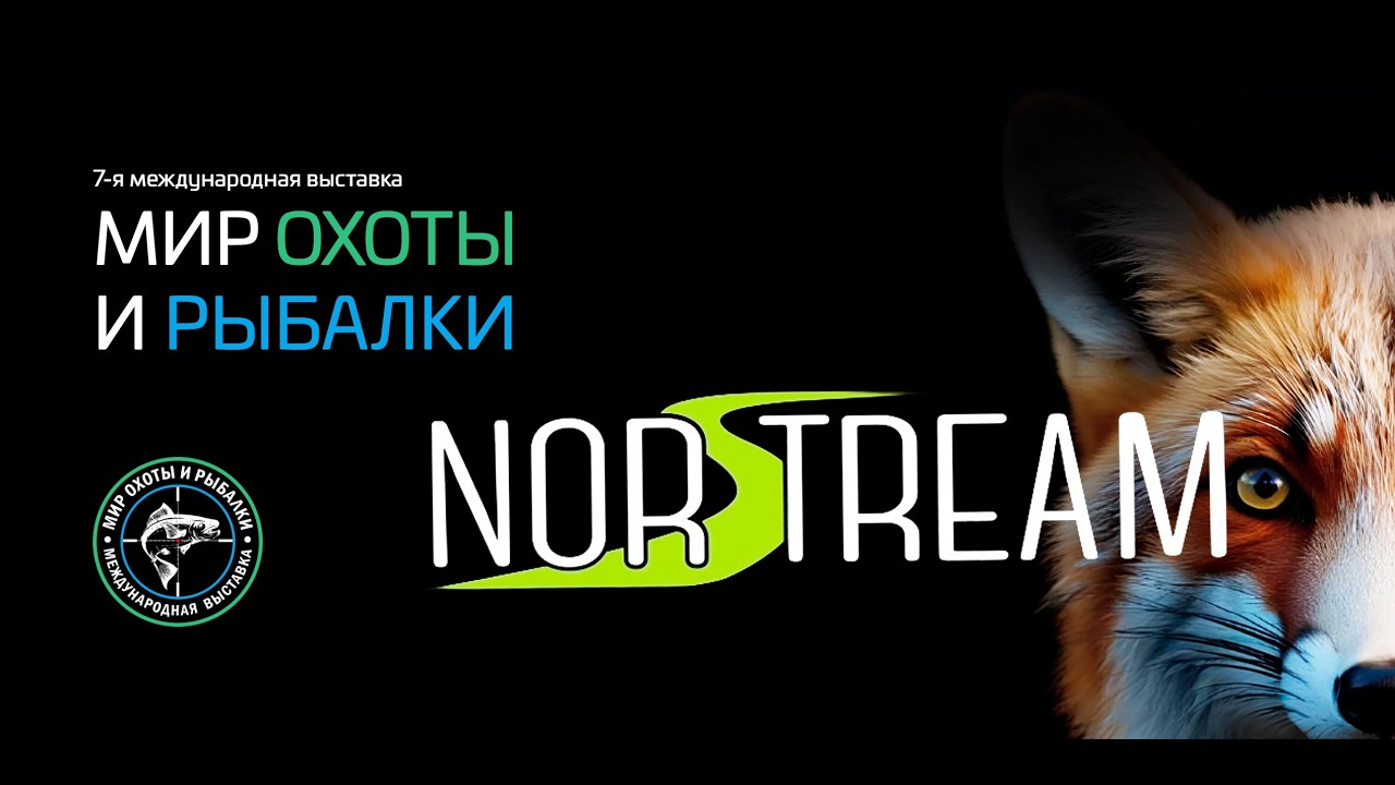 Новинки NORSTREAM 2026. Кирилл Гущин