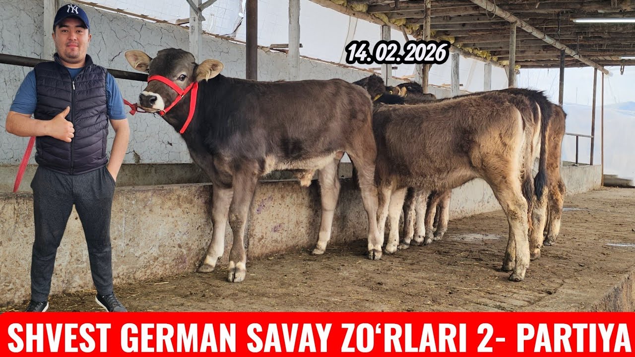2- PARTIYA🔥 ABROR AKADA SHVEST GERMAN SAVAY HUNAJUNLAR ZO‘RLARI🔥