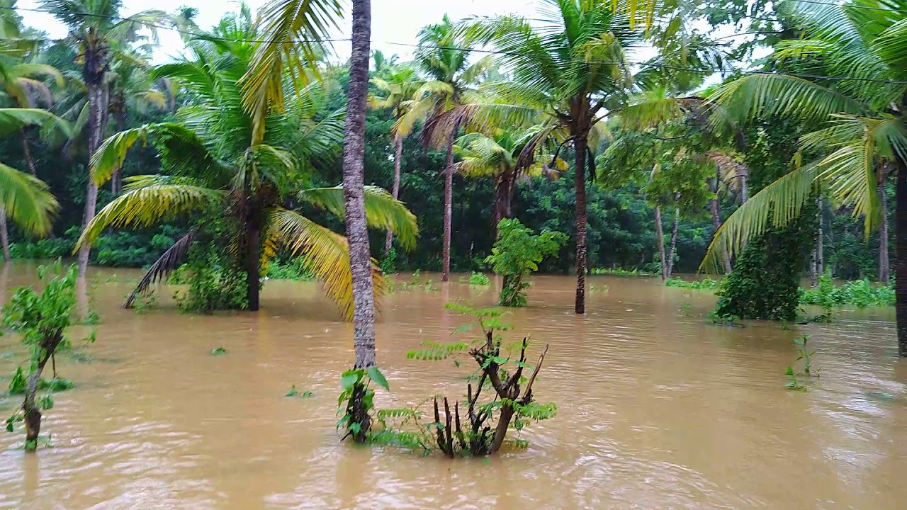 kerala flood 2019