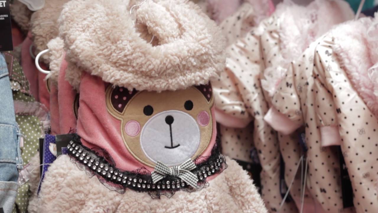 Ropa y accesorios excéntricos para perros
