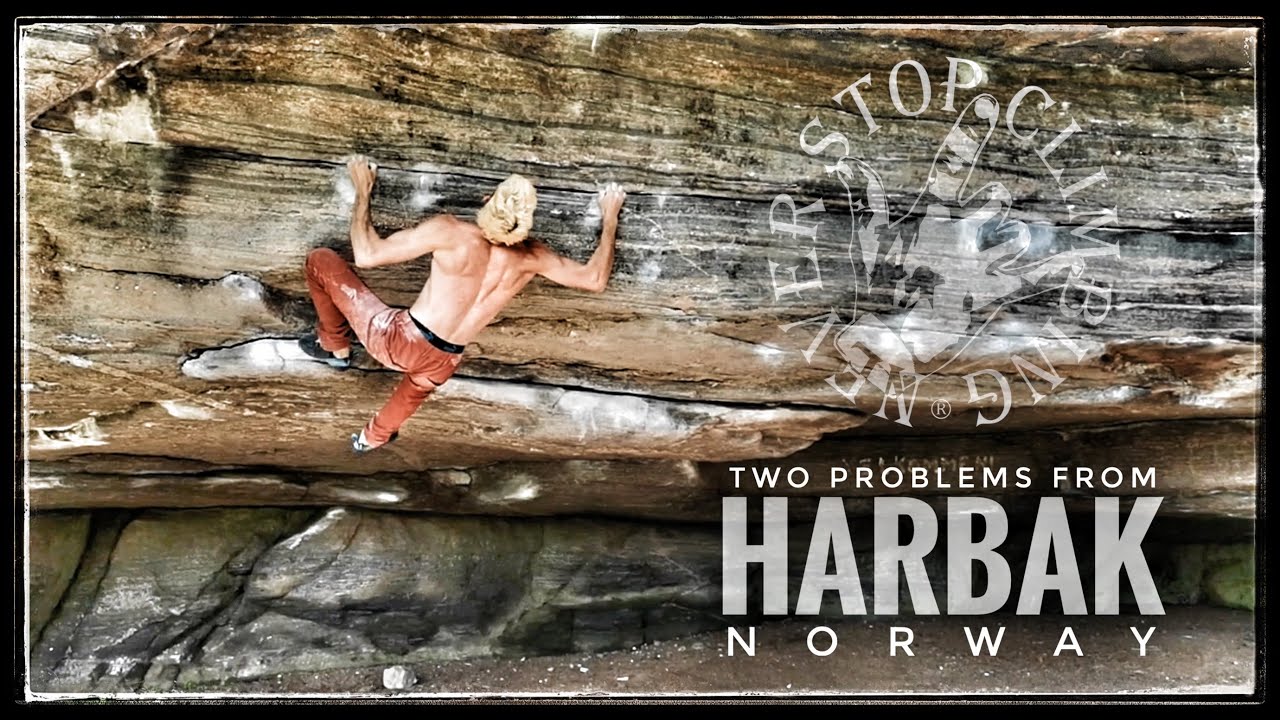 TWO PROBLEMS FROM HARBAK | 
