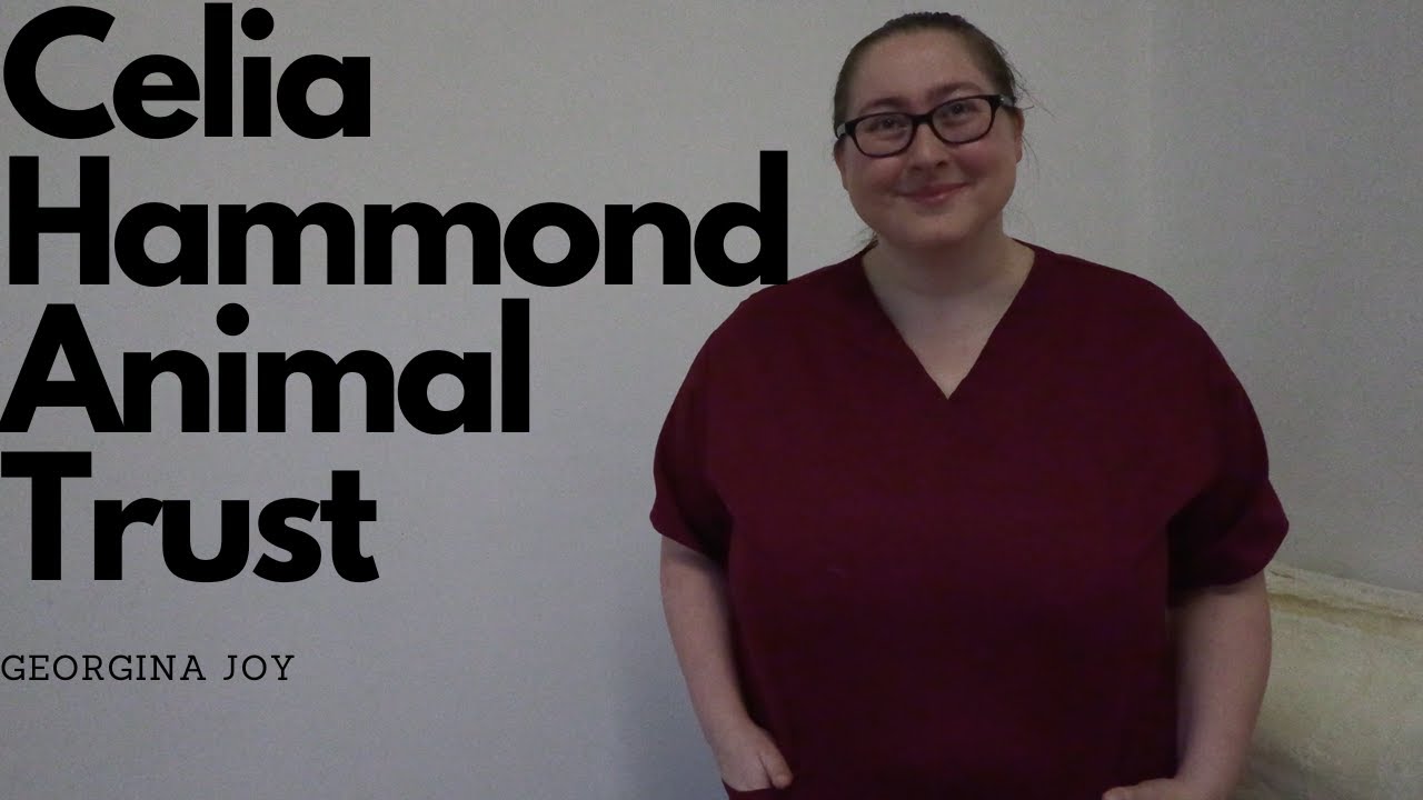 Interview with Georgina Joy @ Celia Hammond