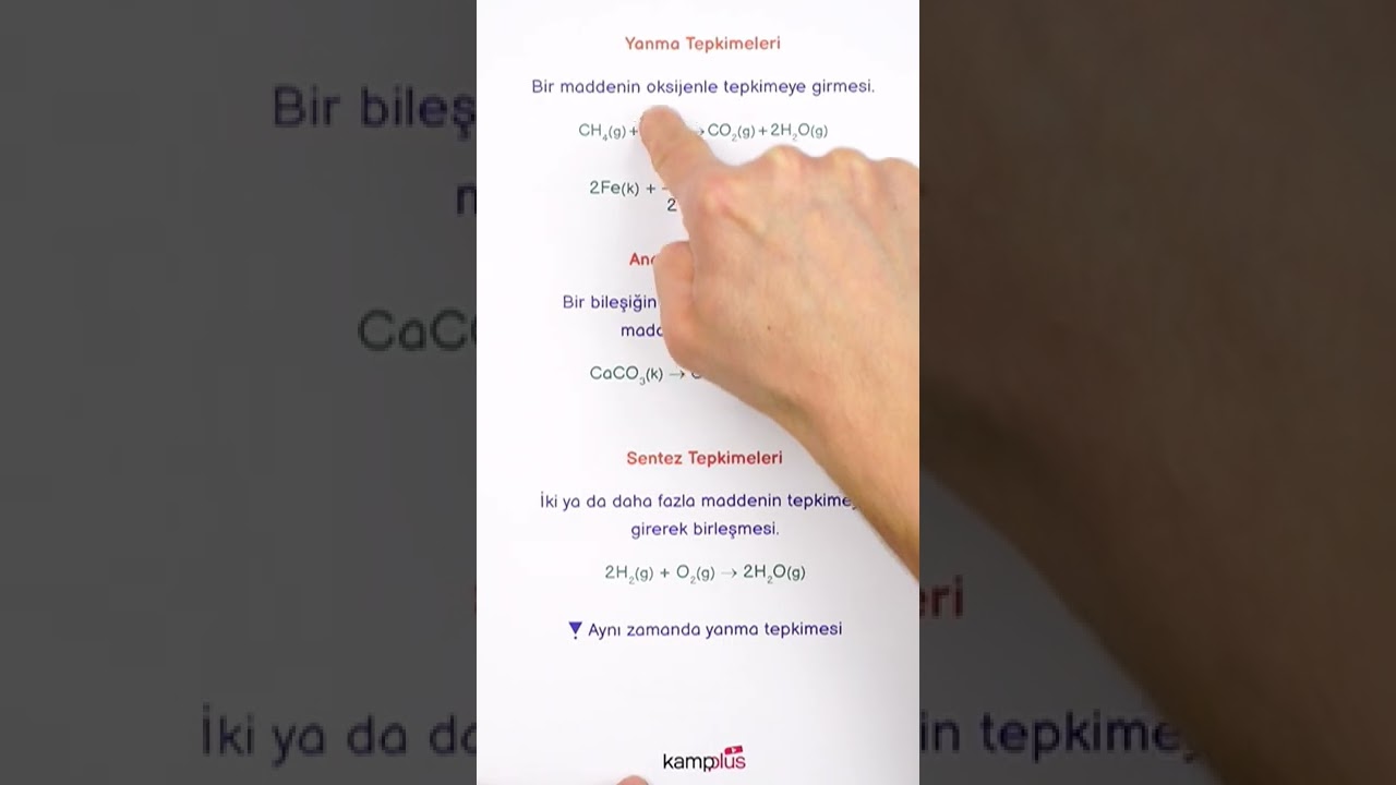 Tepkime T&uuml;rleri
