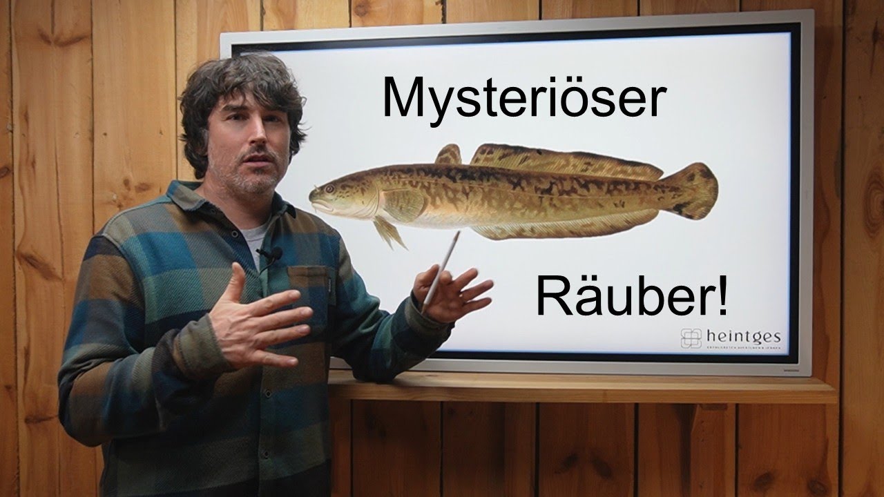Was Du unbedingt über die QUAPPE wissen MUSST!