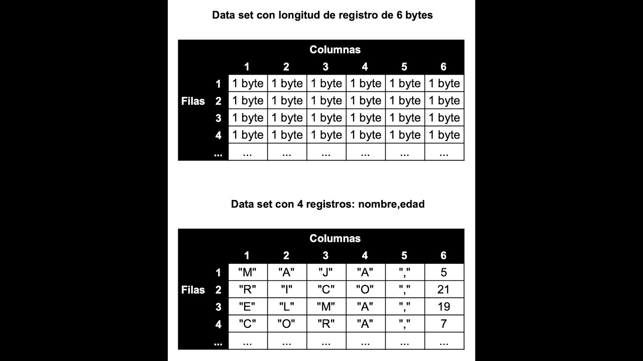 MVS-TK5 12 ¿Qué es un data set? ¿Y un DASD?