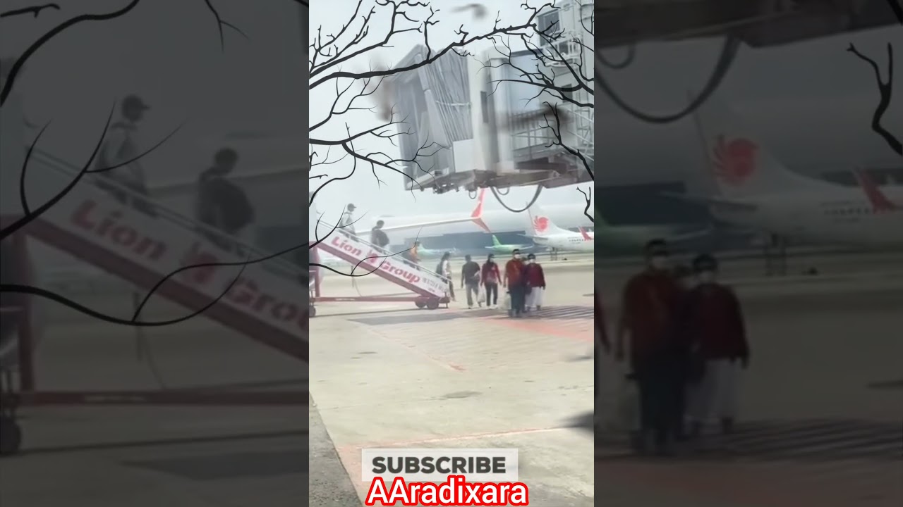 Lion Air passengers Attacked by a group of giant bats