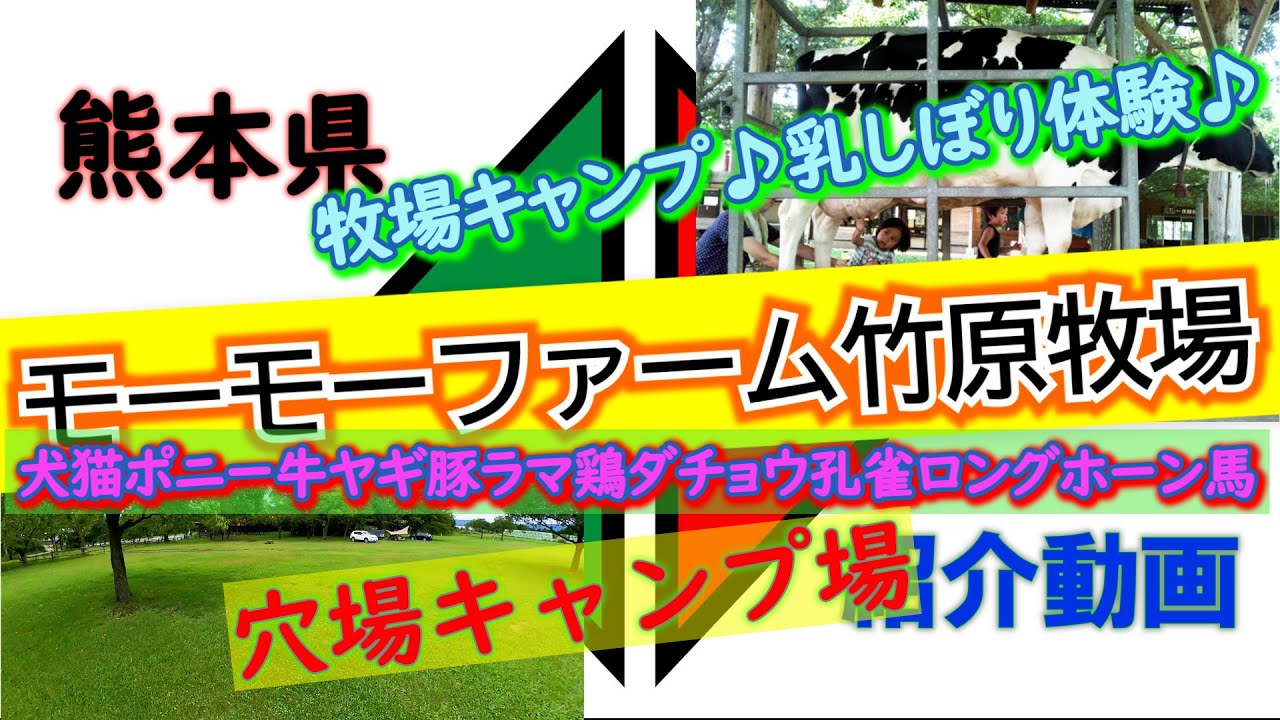 熊本県「モーモーファーム竹原牧場」完全攻略【キャンプ場紹介動画】牧場キャンプ♪穴場キャンプ場♪動物たちとふれあい＆体験♪オートキャンプ場【4K画質】