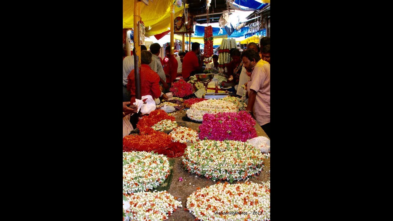 Awesome Devaraja Market Mysore -Mesmerising Flower  Section, Mysore Tourism