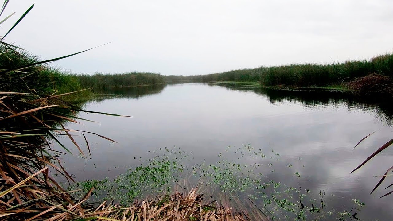 CAMANA- Lagunas de Pesca  de PUCCHUN