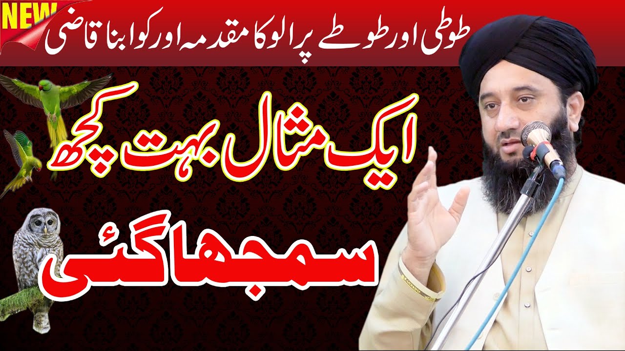 Ik Hikayat | Ullo ne kiya Muqadma Toti Aur Totay pr | Syed Faiz ul Hassan Shah | 03004740595