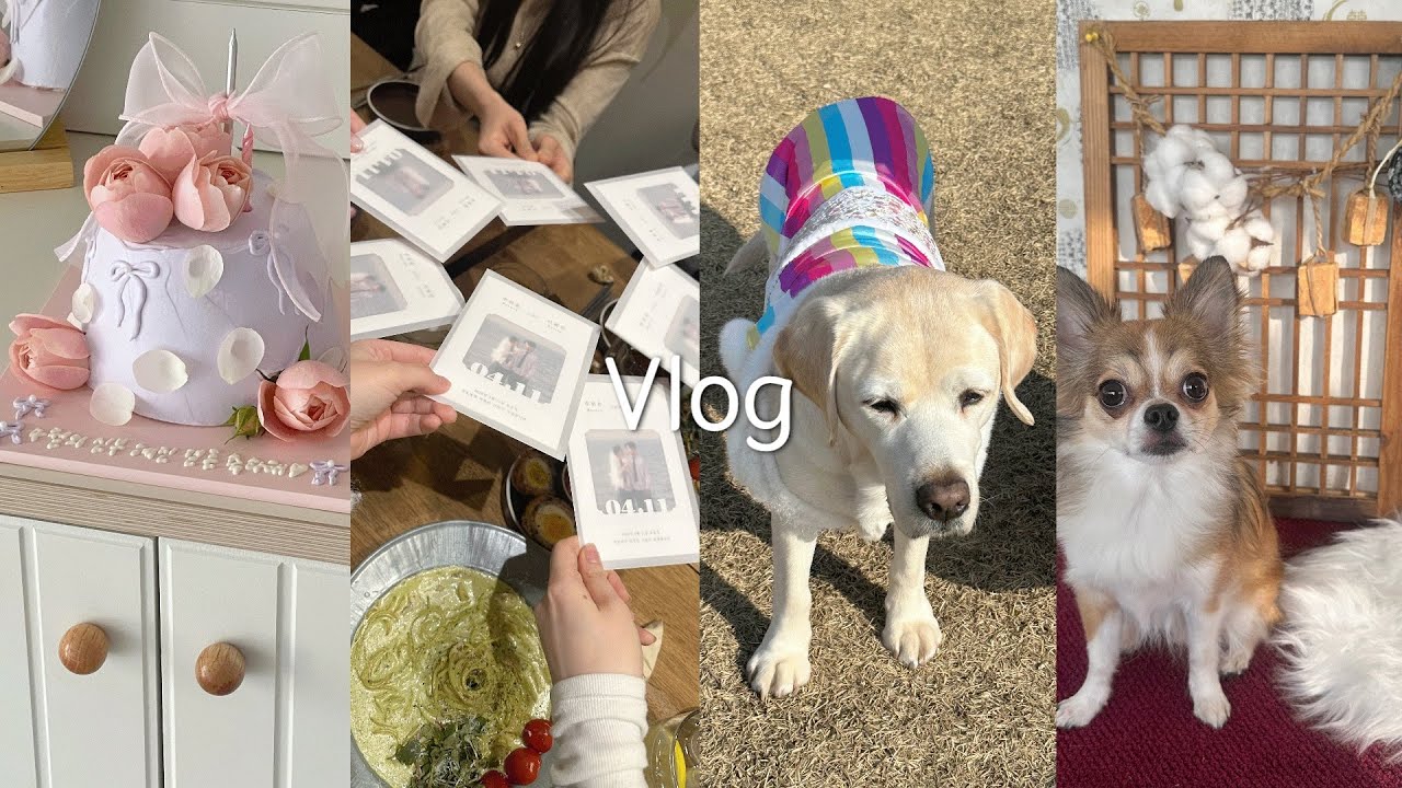 vlog | 일상 브이로그 | 신혼부부 첫 설 명절 | 애견 미용 학원 브이로그🐩 | 애견 카페•운동장 | 청첩장 모임•결혼 축하 케이크💜 | 개성주악•떡국 설날
