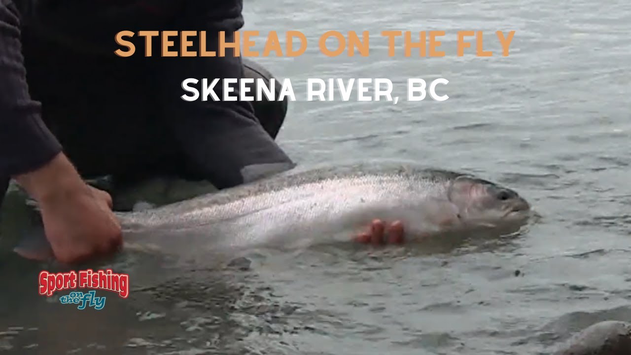 FLY FISHING: SKEENA RIVER STEELHEAD