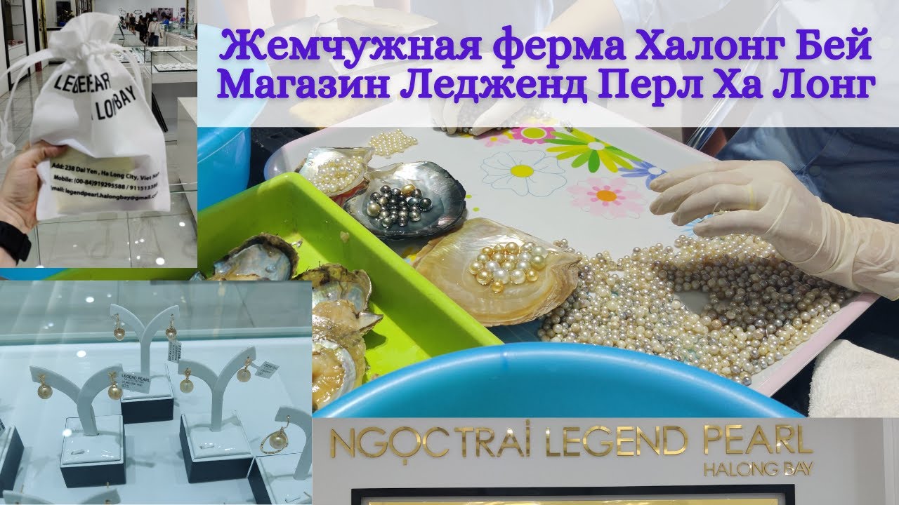 Вьетнам | Жемчужная ферма Ха Лонг и магазин жемчуга | Эскурсия, процесс выращивания жемчуга | Халонг