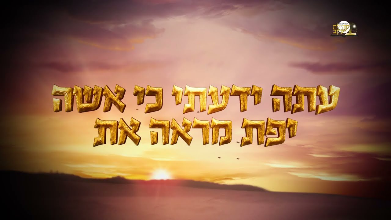 צניעות - הרב נסים יגן