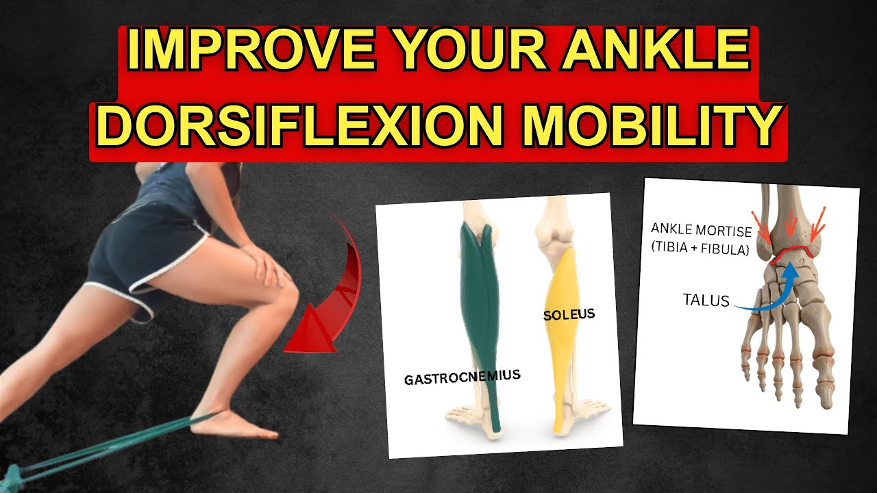 Ankle Dorsiflexion (Part 2) -Improve Ankle Dorsiflexion Mobility