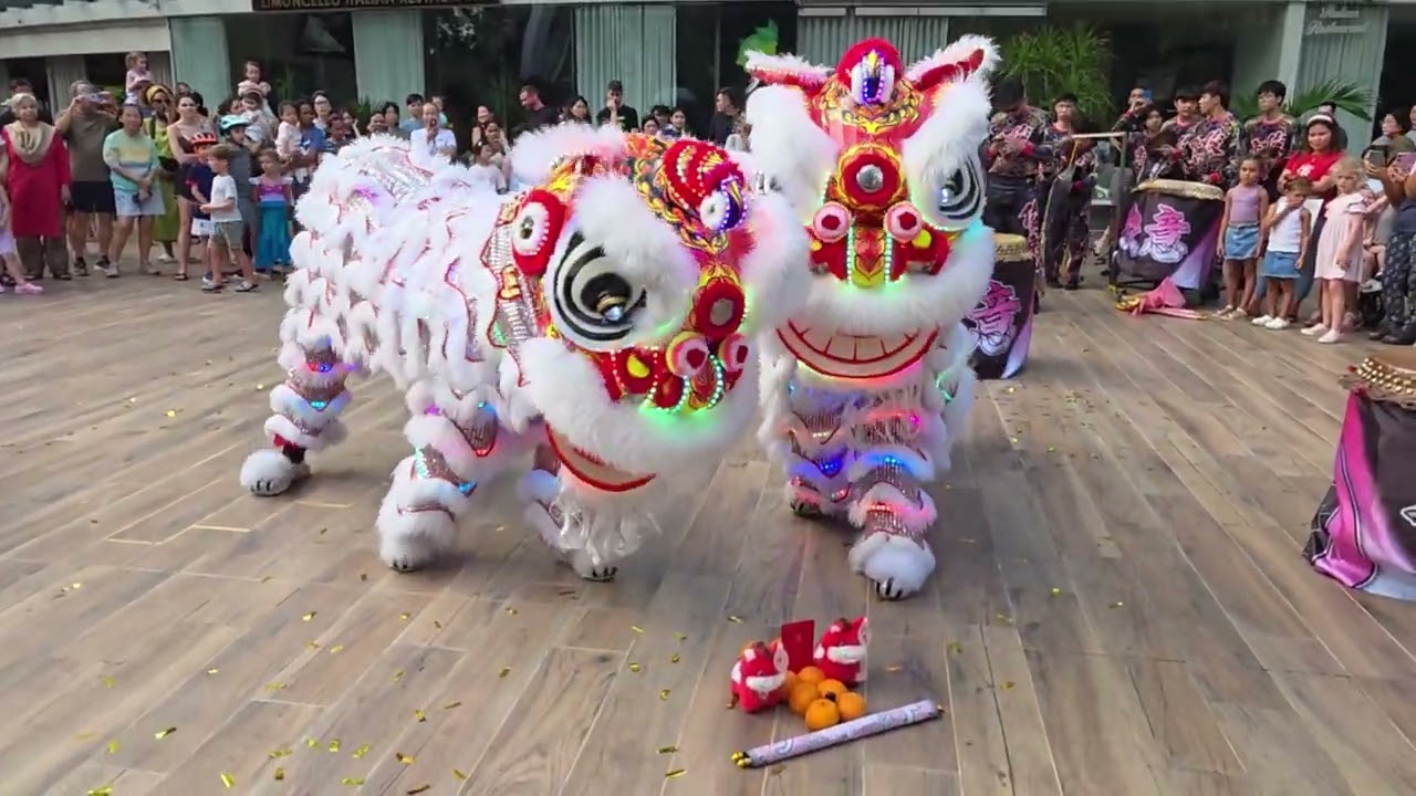2026 Twin LED lion dance Cai Qing at Rivergate