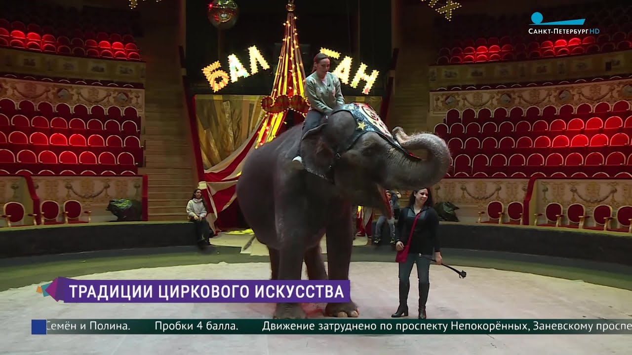 Традиции циркового искусства