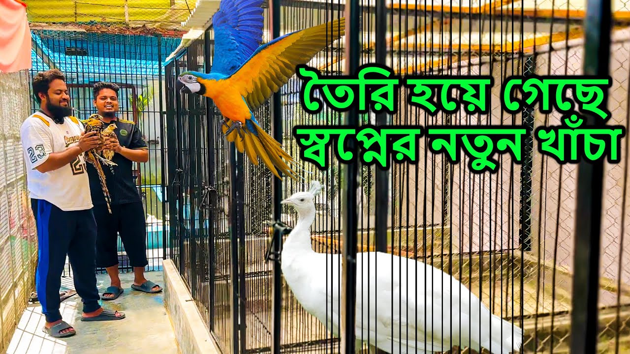 আলহামদুলিল্লাহ,,অবশেষে তৈরি হয়ে গেলো আমাদের স্বপ্নের পাখিদের নতুন খাঁচা