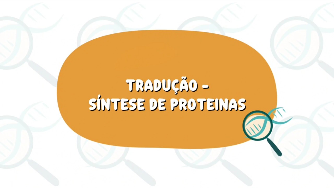 Tradução - síntese de proteínas