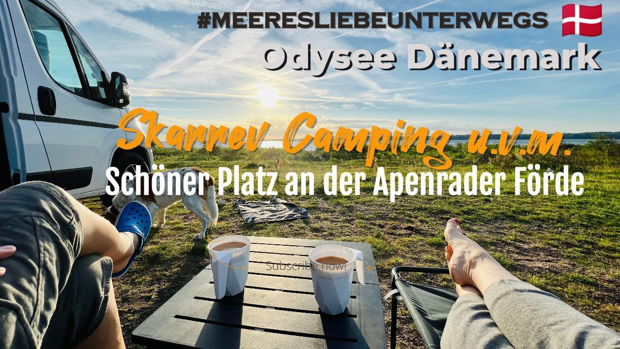 Schöner Stellplatz an der Apenrader Förde,  Platzcheck Marskcamp & Skarrev Campingplatz #denmark
