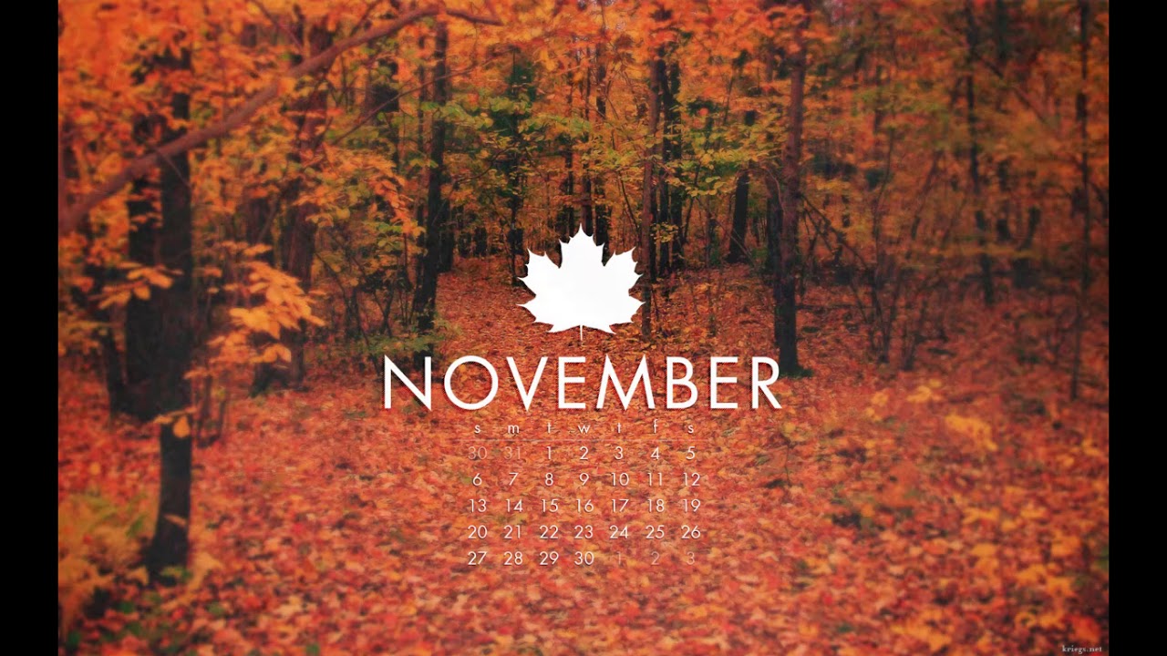 Marek Votruba - November