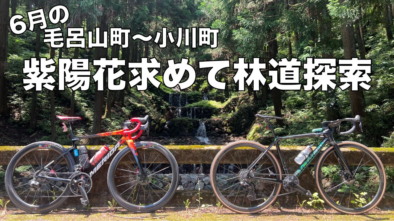 毛呂山町〜小川町　６月なのであじさい巡り　〜坂みち探訪番外編〜　ゲスト　HaW Cycling たくみさん