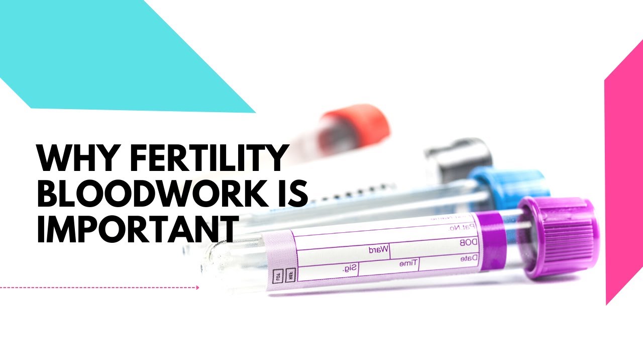 Why Fertility Bloodwork Is Important
