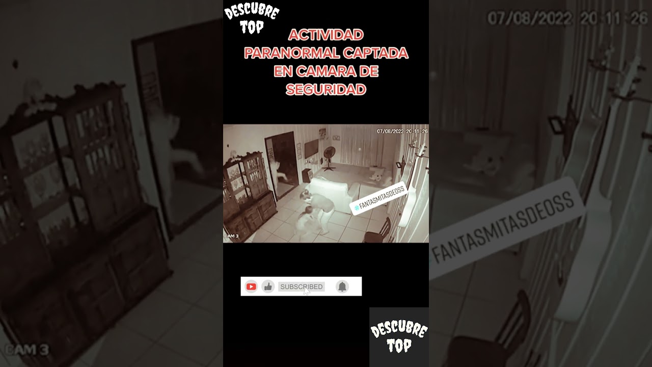 actividad paranormal y terror. #actividadparanormal #fantasmas #2024 #miedo #fyp #terrors #shorts